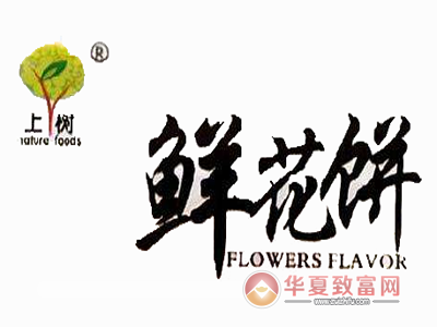 上树鲜花饼加盟